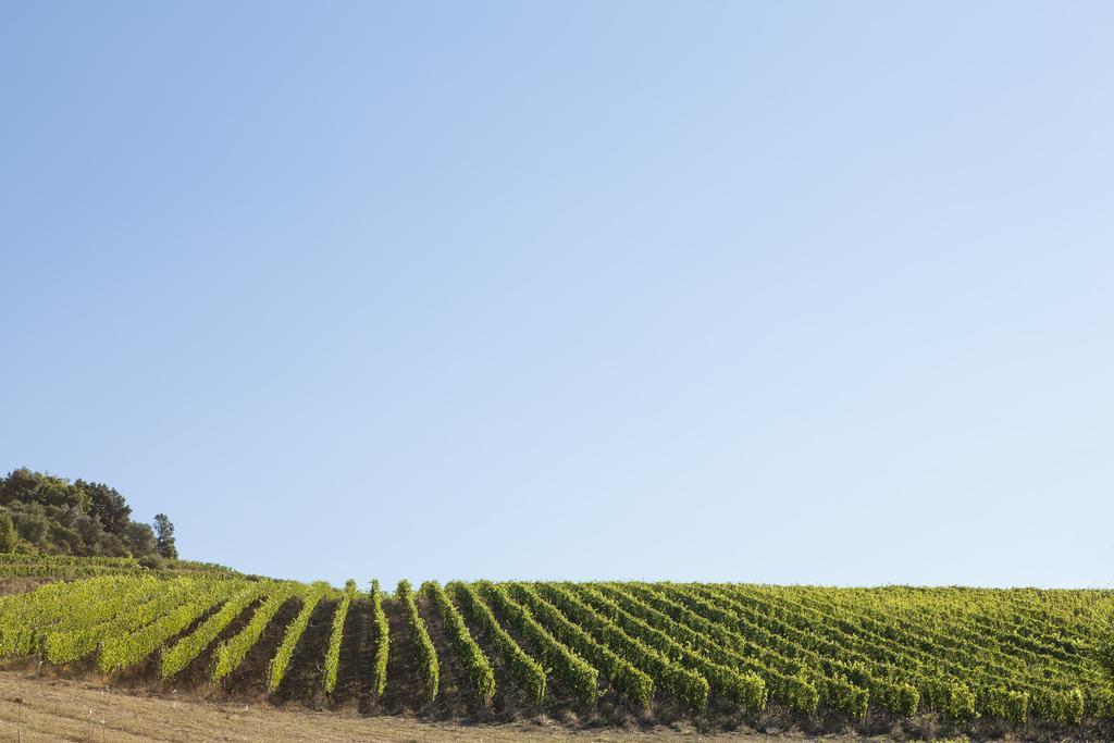 Willa Quercia Al Poggio Barberino di Val dʼElsa Zewnętrze zdjęcie